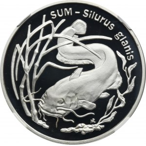 20 Zlato 1995, Sumec - NGC PF69 ULTRA CAMEO