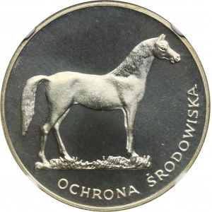 100 złotych 1981 Ochrona Środowiska Koń - NGC PF67 CAMEO