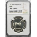 100 Gold 1981 Umweltschutz Pferd - NGC PF67 CAMEO