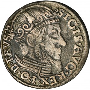 Sigismund II Augustus, Trojak Danzig 1557 - RARE, ohne Rand