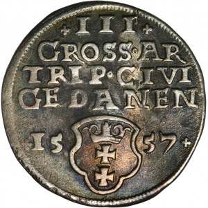 Sigismund II Augustus, Trojak Danzig 1557 - RARE, ohne Rand