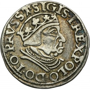 Sigismund I. der Alte, Trojak Danzig 1538 - PRVSS