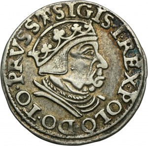 Zygmunt I Stary, Trojak Gdańsk 1538 - PRVSS