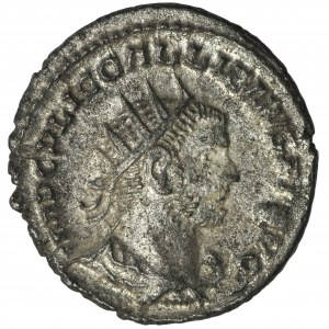 Roman Imperial, Gallienus, Antoninianus