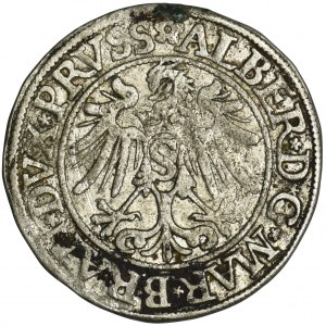 Herzogliches Preußen, Albrecht Hohenzollern, Grosz Königsberg 1535 - PRVSS
