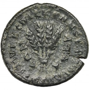 Provincie Řím, Phrygia, Apameia, Antoninus Pius, Bronz