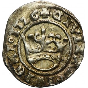 Schlesien, Świdnica, Ludwik II Jagiellończyk, Świdnica halber Pfennig 1526