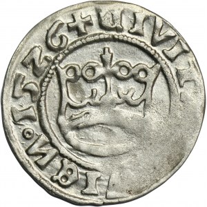 Silesia, Schweidnitz, Louis II of Hungary, 1/2 Groschen 1526
