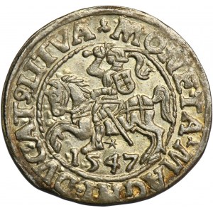 Sigismund II Augustus, halber Pfennig Vilnius 1547 - LI/LITVA