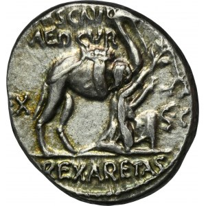 Římská republika, Aemilius Scaurus, Plautius Hypsaeus, denár - vzácný, bez škorpióna