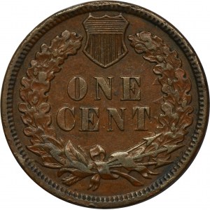 USA, 1 cent Philadelphia 1884 - Indiánská hlava
