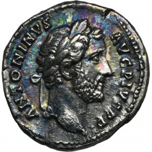 Roman Imperial, Antoninus Pius, Denarius