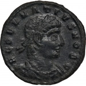 Římská říše, Dalmatius, Follis - RARE