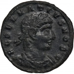 Roman Imperial, Dalmatius, Follis - RARE