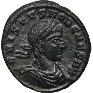 Roman Imperial, Crispus, Follis - RARE