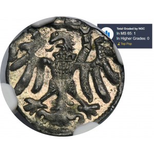 Sigismund I the Old, Denarius no date Elbing - NGC MS65