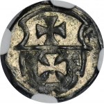 Sigismund I the Old, Denarius no date Elbing - NGC MS65