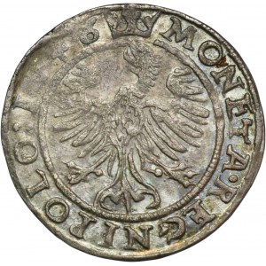 Žigmund I. Starý, Grosz Krakov 1546 ST