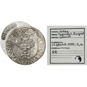 Sigismund II Augustus, Szeląg Gdańsk 1550 - SEHR Selten, ex. Marzęta