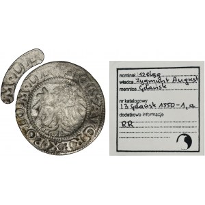 Zikmund II Augustus, Szeląg Gdańsk 1550 - VELMI vzácné, ex. Marzęta