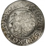 Sigismund II Augustus, Schilling Danzig 1550 - VERY RARE, ex. Marzęta