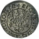 Sigismund III Vasa, Schilling Bromberg 1625 - RARE, Eagle, ex. Marzęta
