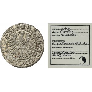 Duchy of Prussia, Albrecht Hohenzollern, Schilling Königsberg 1557 - ex. Marzęta
