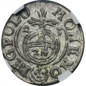 Sigismund III. Vasa, Halbspur Bydgoszcz 1623 - NGC MS62