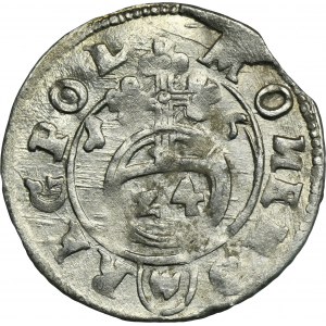 Sigismund III Vasa, Półtorak Bydgoszcz 1616 - RZADSZY, Wappen Abdank, ex. Marzęta