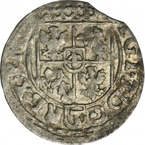 Sigismund III Vasa, Halbspur Bydgoszcz 1618 - ILLUSTRATED, RAISE, ex. Marzęta