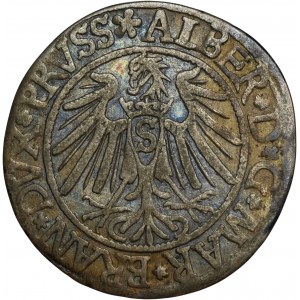 Prusy Książęce, Albrecht Hohenzollern, Grosz Królewiec 1539 - PRVSS