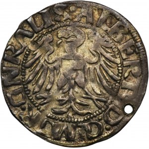 Teutonic Order, Albrecht Hohenzollern, Groschen Königsberg 1520 - VERY RARE