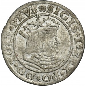 Sigismund I the Old, Groschen Thorn 1529 - PRVS/PRVSS