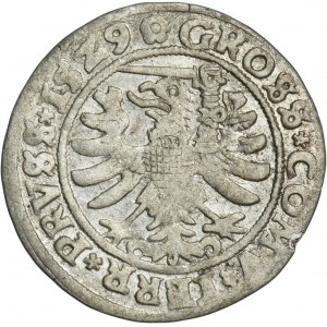 Sigismund I the Old, Groschen Thorn 1529 - PRVS/PRVSS