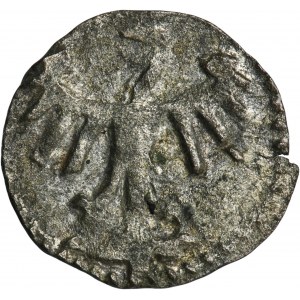 Casimir IV Jagiellon, Denarius Krakau undated