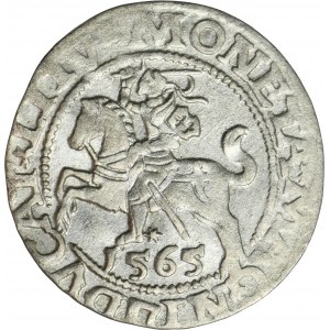 Zygmunt II August, Półgrosz Wilno 1565 - L/LITV
