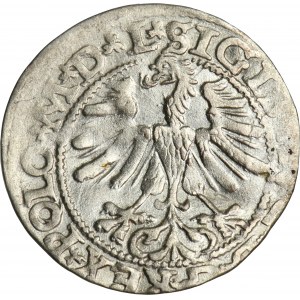 Sigismund II August, Halfgroat Vilnius 1565 - L/LITV