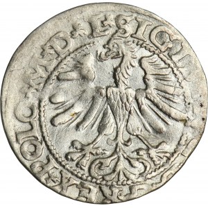 Zygmunt II August, Półgrosz Wilno 1565 - L/LITV