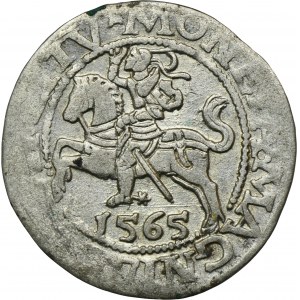 Sigismund II August, Halfgroat Vilnius 1565