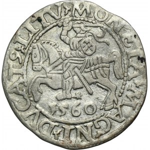 Sigismund II August, Halfgroat Vilnius 1560 - L/LITV