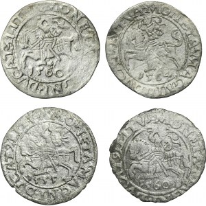 Set, Sigismund II August, Halfgroat Vilnius (4 pcs.)