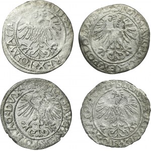 Set, Sigismund II August, Halfgroat Vilnius (4 pcs.)