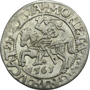 Sigismund II August, Halfgroat Vilnius 1561 - L/LITVA