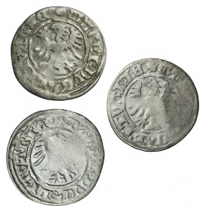 Set, Alexander Jagiellon, Halfgroat Vilnius undated (3 pcs.)