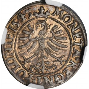Sigismund I. der Alte, Pfennig Krakau 1545 - NGC AU55