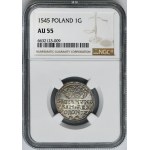 Zikmund I. Starý, groš Krakov 1545 - NGC AU55