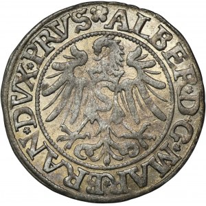 Prusy Książęce, Albrecht Hohenzollern, Grosz Królewiec 1534 - PRVS