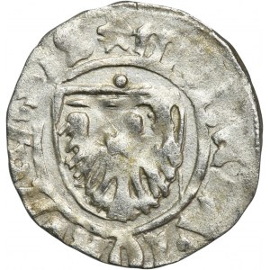 Casimir IV Jagiellon, Schilling Thorn undated - RZADKI