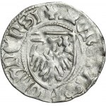 Kasimir IV. Jagiellonisch, Szeląg Toruń ohne Datum - RARE