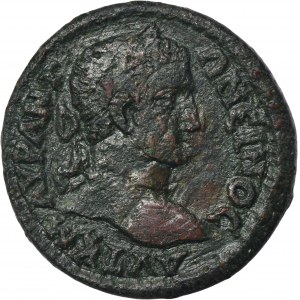 Roman Provincial, Ionia, Ephesus, Caracalla, AE